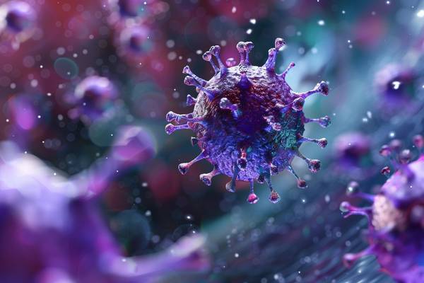 紫色隔離和綠色隔離的區(qū)別，預(yù)防為主與治療優(yōu)先：紫色綠色隔離的防控目標分野